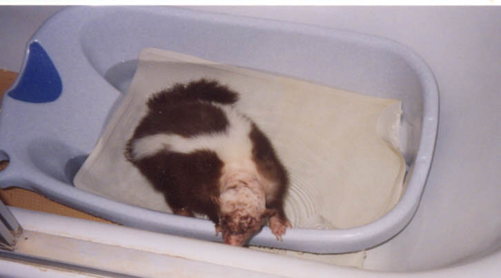 Standing in epsom salts bath