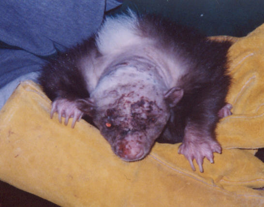 Healing well with meds and epsom salts soak