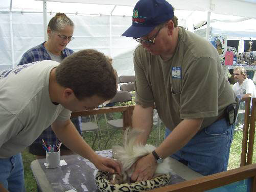 SkunkFest photo