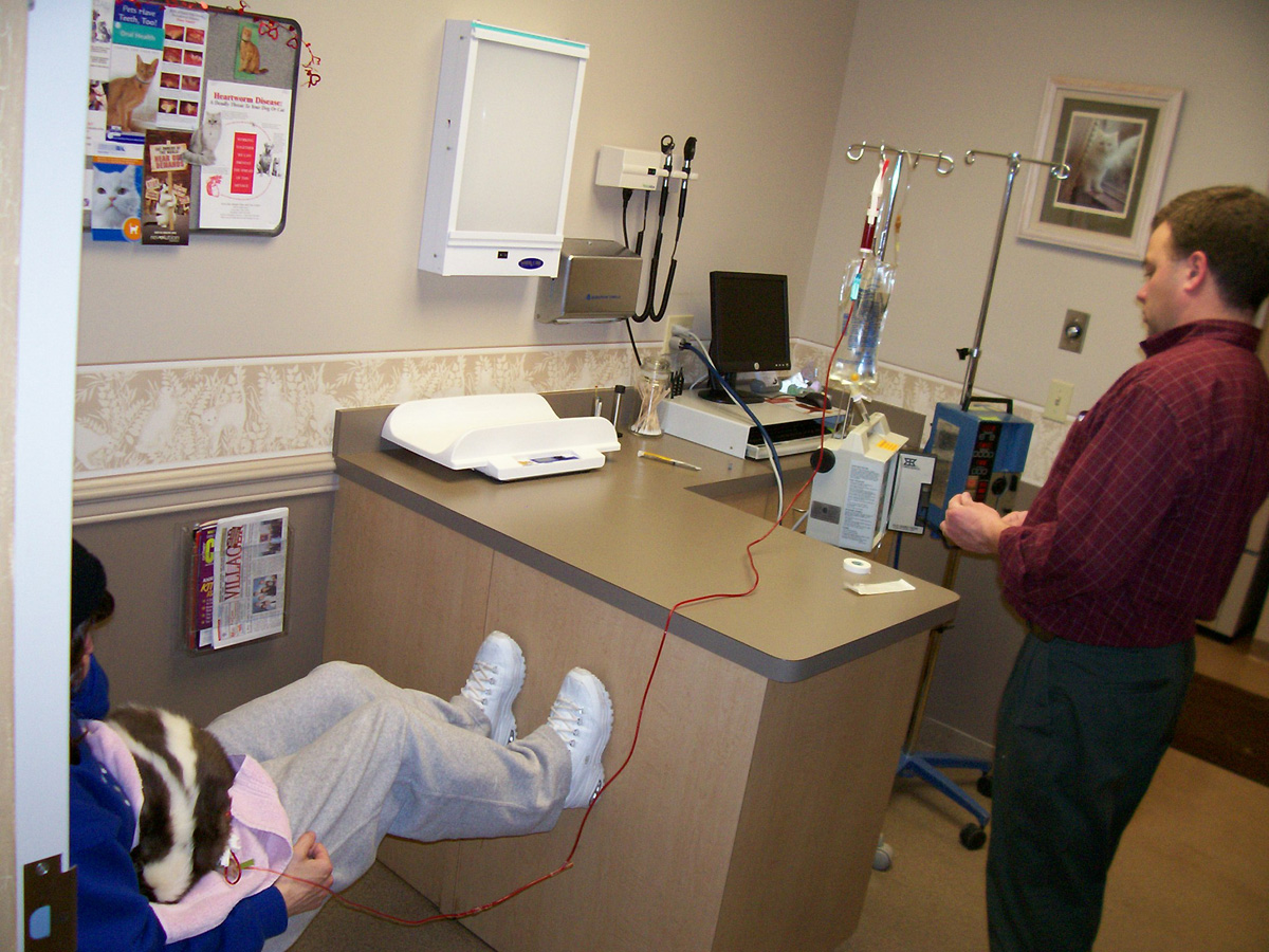 Blood transfusion setup