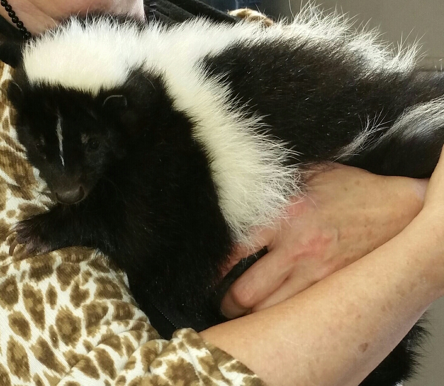 Hold Snuggle
